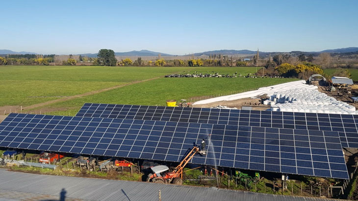 Limpieza de Paneles Solares, Lechería Miraflores, Angol, IX Región
