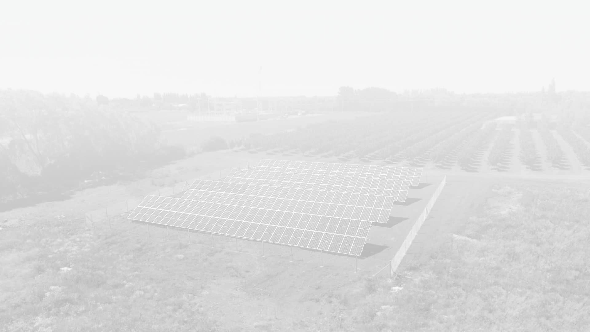 Paneles solares terreno agrícola