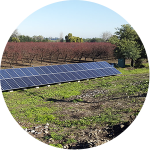 placas fotovoltaicos en terreno agrícola